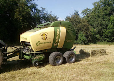 Quaderballen gehen auch